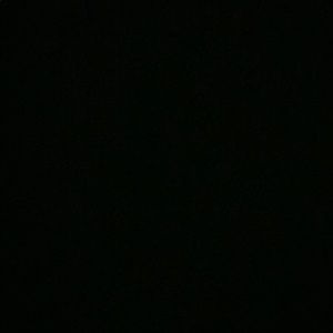 Meet your Posher, Kasey